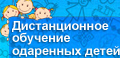 Дистанционное обучение одаренных детей Нижегородской области