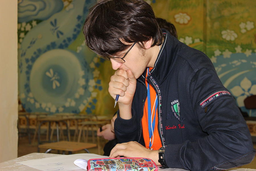 Заключительный этап всероссийской олимпиады школьников по математике в Сарове 2013_405